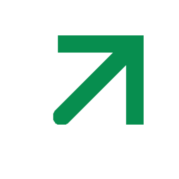 Dash icon